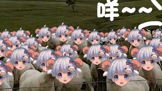 【咩栗】向一群羊喊“咩”会发生什么？