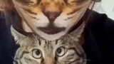 Cute Cat Filter prank