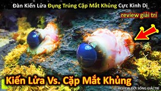 Đàn Kiến Lửa Đụng Độ Trúng Cặp Mắt Siêu Khủng Cực Kinh Dị || Review Giải Trí Đời Sống