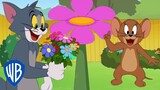 Tom & Jerry | Flower Season ðŸŒ¸ | @WB Kids