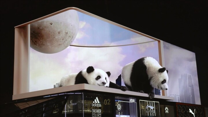 Naked eye 3D panda in Chengdu