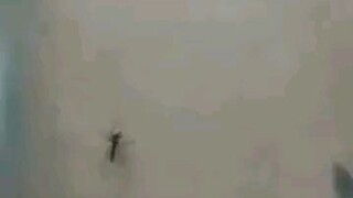 funny moments that makes you laugh 😅