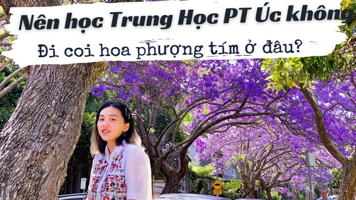 Nên học Trung Học tại Úc từ lớp mí ?Học dự bị đại học tại Úc?🇦🇺 💜 Đi coi hoa phượng tím ở đâu?