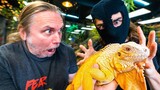 PLEASE DON'T STEAL MY ANIMALS!! TOO MANY REPTILES BEING STOLEN!! | BRIAN BARCZYK