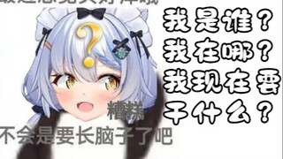 【เอลซ่า】แมวขาวตัวใหญ่: ฉันเป็นใคร ฉันอยู่ที่ไหน ฉันจะทำอะไรตอนนี้?