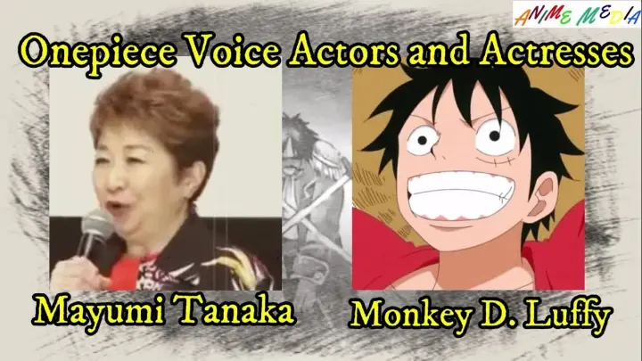 ONE PIECE Strawhat Pirates Crew Voice Actors and Characters / Luffy Voice Actor