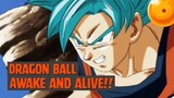 Dragon Ball - Awake and Alive❗❗