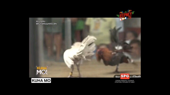 MANOK VS TAO Kuha Mo Sa ABS-CBN