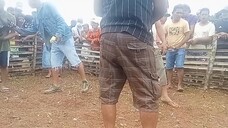 alimbuyugin (Amin) kuntra pula