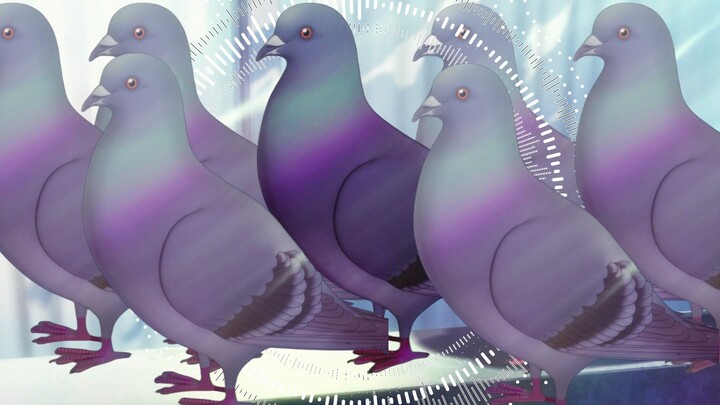 ⚡Let's have some PHONK for pigeons!⚡