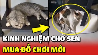 Cô Sen TÂM SỰ về kinh nghiệm MUA ĐỒ CHƠI cho Hoàng Thượng 😂 | Yêu Lu