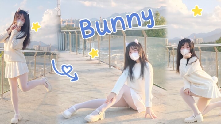 - ̗̀兔年推送  ̖́-电动马达小兔子ꪔ̤̥ꪔ̤̮ꪔ̤̫Bunny