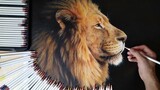 [Vẽ]Sư tử sống động như thật!