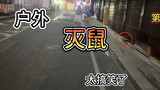 Ada serangan tikus yang serius di jalanan kota pada malam hari. Orang Guangxi tidak akan mentolerir 