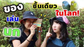 DIY ของเล่นนกแก้ว จากไม้ไอศครีม ร่วมกับ: Birdyard Channel