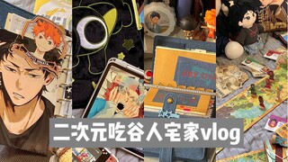 二次元宅女宅家vlog*小排球谷子/桌游/手帐分享/贴纸文具/switch配件/炉石酒馆