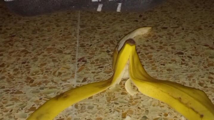 when pisang....