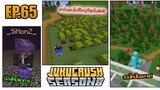 ผจญภัยทั่วเซิฟ!! | Jukucrush Server | Minecraft 1.16.2