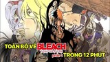 Toàn Bộ Về Bleach Huyết Chiến Ngàn Năm - Đại Chiến Quincy