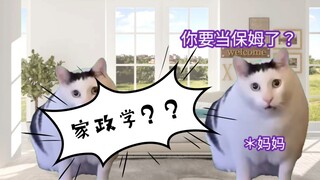 【安利宝藏专业｜猫meme】什么？被家政学录取了？！