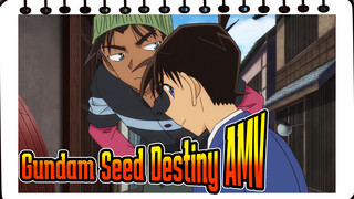 Mobile Suit Gundam Seed Destiny AMV | Solitude of the Deep Ocean