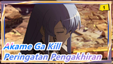 Akame Ga Kill | Mashup~Peringatan Pengakhiran_1