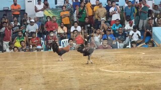 maalat pdin panalo swerte nlng talaga Ang wala