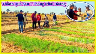 Công Giáp | Nhiều Loại Rau Đã Phủ Xanh Cánh Đồng Sau 1 Tháng Khai Hoang - Cấp Thêm Thiết Bị Dẫn Nước