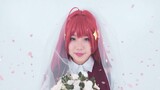 【妱妱】●○Five-level の気手ち●○ <Five-level flower wedding>OP ▎One person five battles·Original choreography
