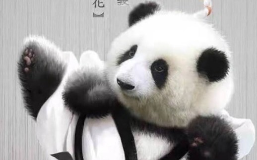 Panda He Hua in Love