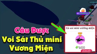 Play Together | Đi Câu Chơi Ai Ngờ Lên Được Cá Voi Sát Thủ Mini Vương Miện =)))