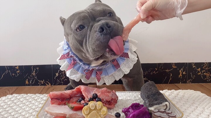 Yummy! Black bulldog gets anxious to eat meat