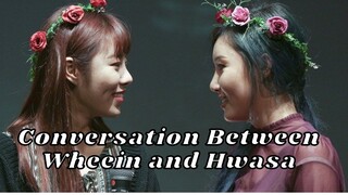 Conversation Between Wheein and Hwasa