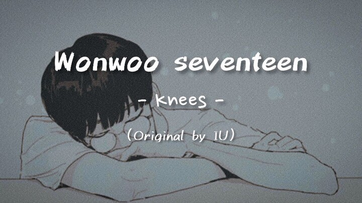 Jeon Wonwoo Seventeen - Knees (Original by IU)