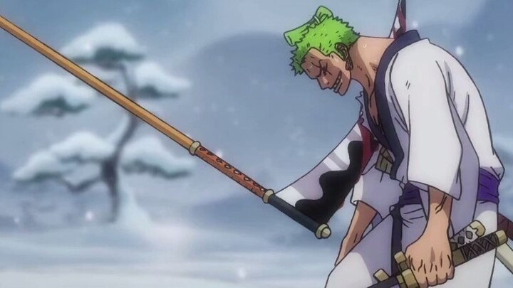 Zoro: Haha, tanpa tampilan tuan, aku masih rata-rata...