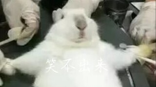 来点医学生笑话吧