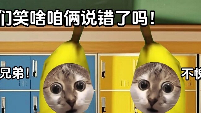 Khi giáo viên sinh học nói về mối nguy hiểm của cận huyết