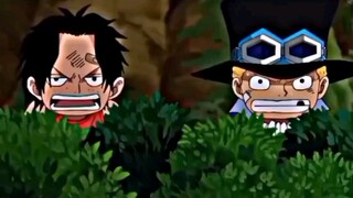 KETIKA LUFFY BERBOHONG 🤣🤣