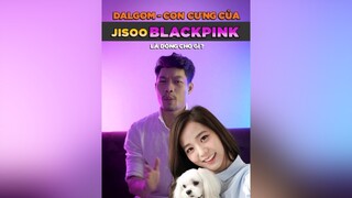 Dalgom con cưng của Jisoo BlackPink là dòng chó gì tuitienpet dcgr pet learnontiktok