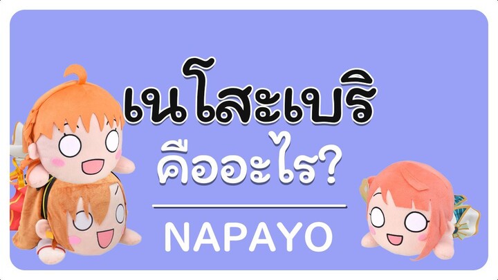 Nesoberi คืออะไร | NAPAYO