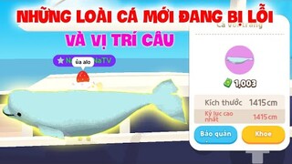 (Play Together) Những loài CÁ MỚI đang bị "Lỗi" | Và "Vị Trí" câu Cá Mới lên Liên Tục