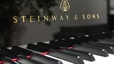 The $1,700,000 Steinway of the school was smashed by me
