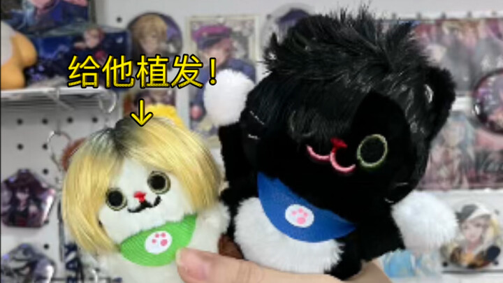 [Transplantasi Rambut Boneka] Transplantasi rambut untuk Boneka Kuroken Kitty, bab penggilingan!