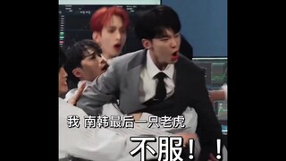 【SVT】呀嘿!呀嘿!孩子在外安全意识高是好事🐻🐶🐯