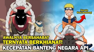 DIKEJAR BANTENG KONOHA | MOMEN NARUTO KECIL #3