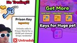 I Found Best Methods to Get More Prison Keys in Pet Sim 99