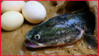 Catch Snakehead Fish In The Cave Experiment / Lego IRL 43 / Unusual Cooking.