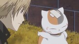 If one day Natsume is gone, will Mr. Kitty cry very sad?