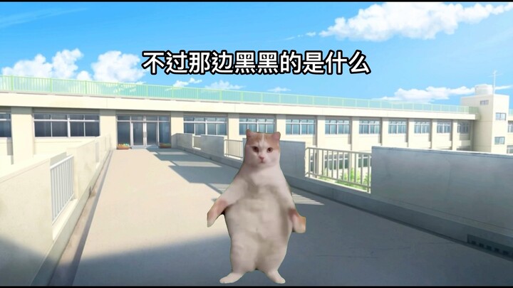 【猫meme】要去跳楼的我意外成为老师的表扬对象