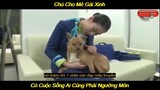 Chó Khôn Chỉ Thích Gái Xinh Ôm | LT Review
